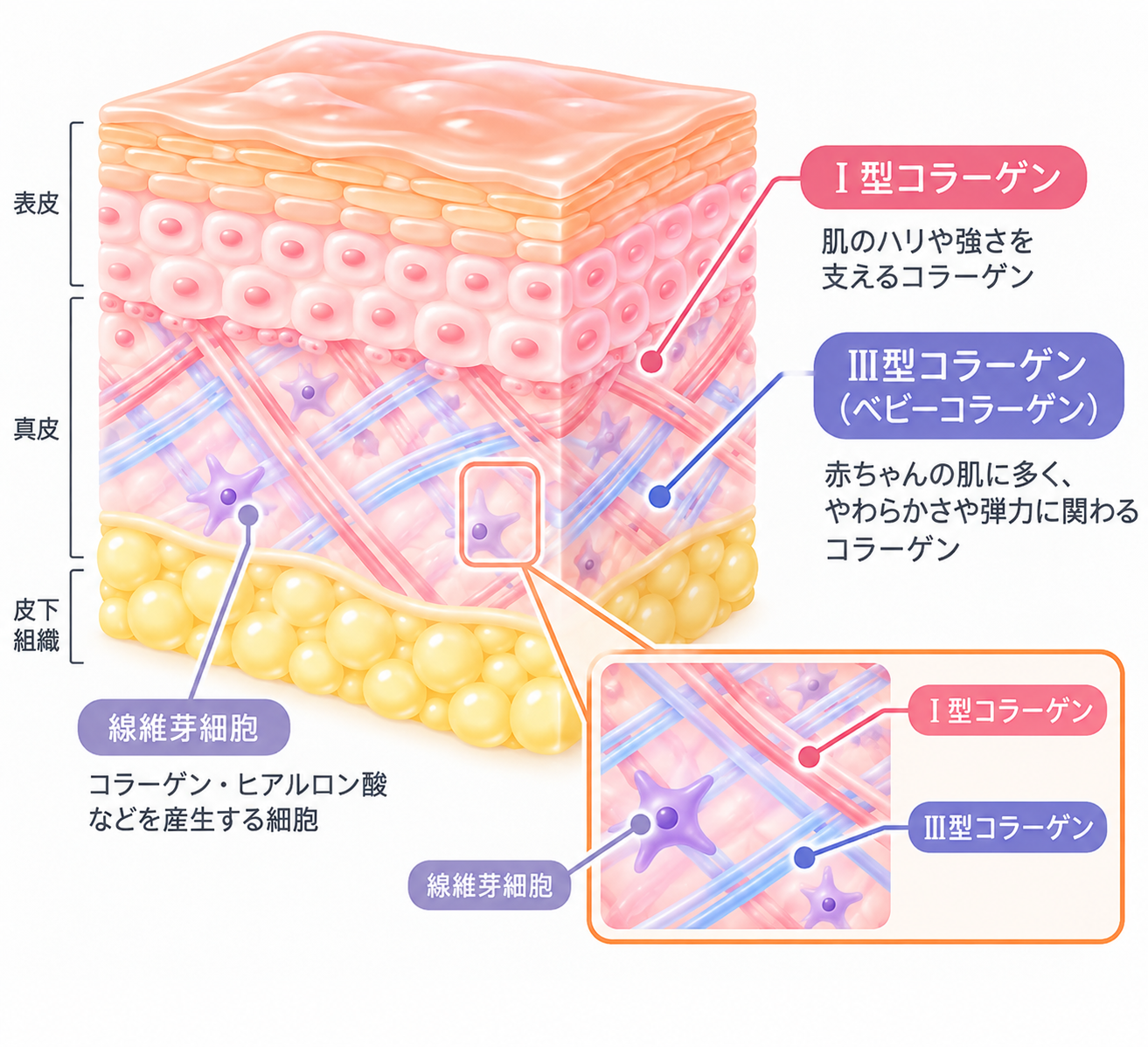 手作り化粧品の材料販売店（卵殻膜パウダー）